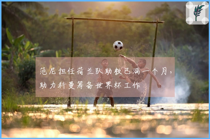 范尼担任荷兰队助教已满一个月，助力科曼筹备世界杯工作