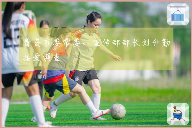 青岛市委常委、宣传部部长刘升勤接受调查