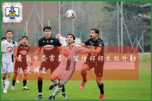 青岛市委常委、宣传部部长刘升勤接受调查